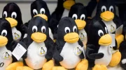 Калифорния может освободить Linux от спорного закона о проверке возраста пользователей