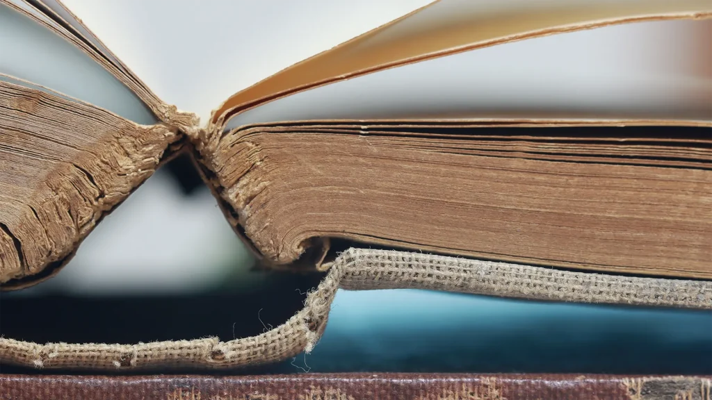 ИИ-компании скупают и уничтожают тысячи книг ради обучения нейросетей — расследование привело на объект Amazon