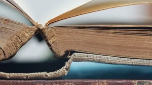 ИИ-компании скупают и уничтожают тысячи книг ради обучения нейросетей — расследование привело на объект Amazon